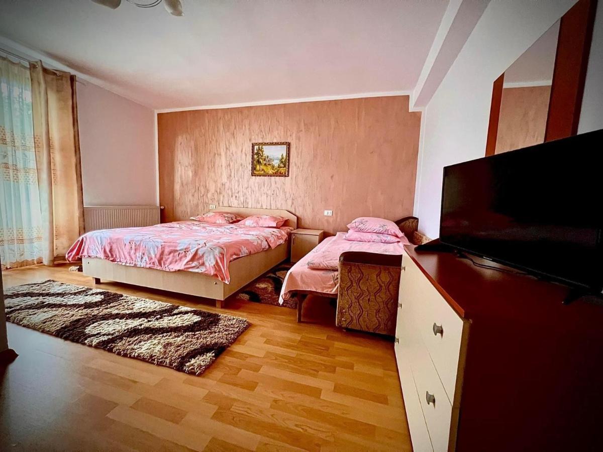 ホテル Casa Viorica Statiunea エクステリア 写真