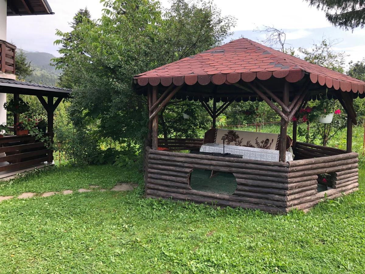 ホテル Casa Viorica Statiunea エクステリア 写真