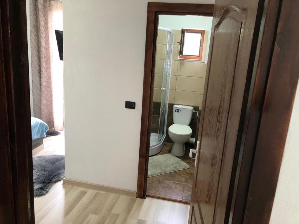 ホテル Casa Viorica Statiunea エクステリア 写真