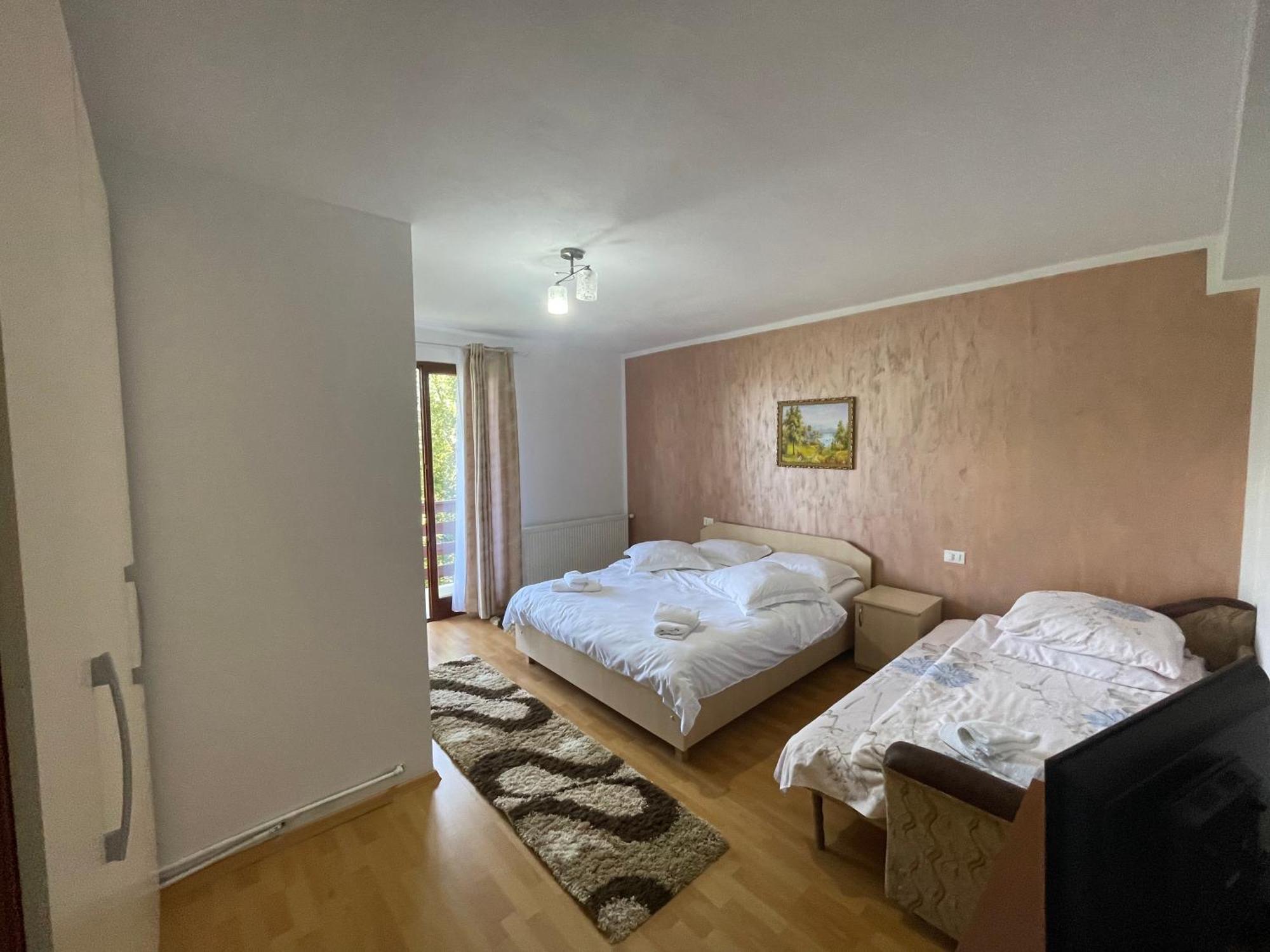 ホテル Casa Viorica Statiunea エクステリア 写真